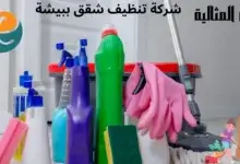 افضل شركة تنظيف شقق ببيشة