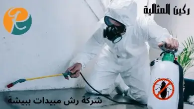 افضل شركة رش مبيدات ببيشة
