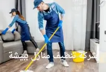 افضل شركة تنظيف منازل ببيشة