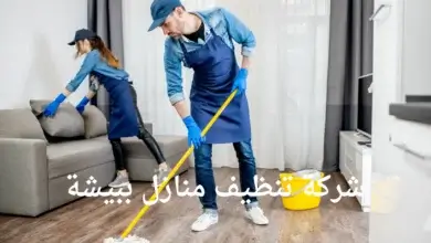 افضل شركة تنظيف منازل ببيشة